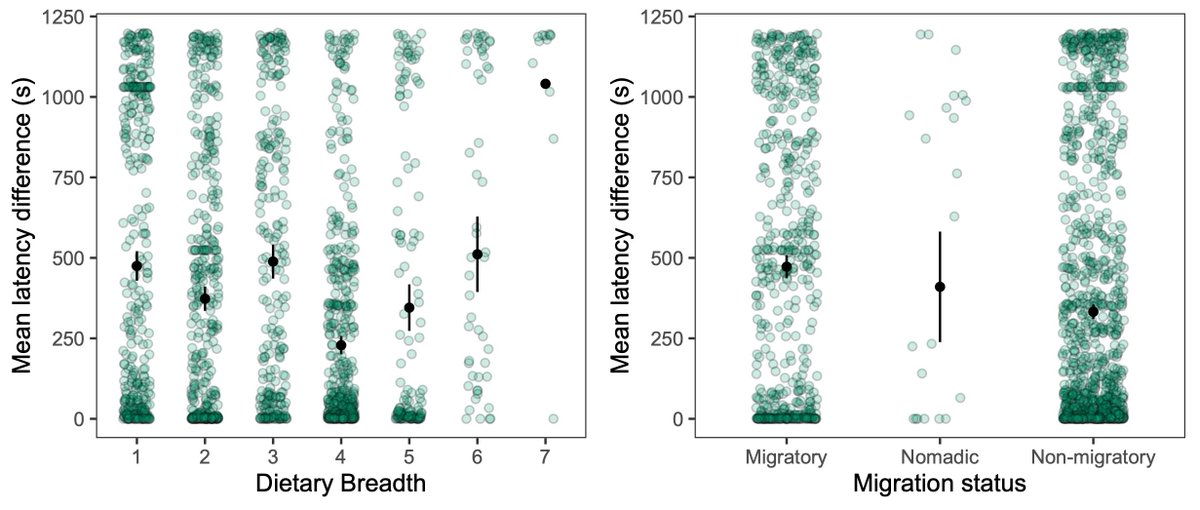 ManyBirds Project tweet media