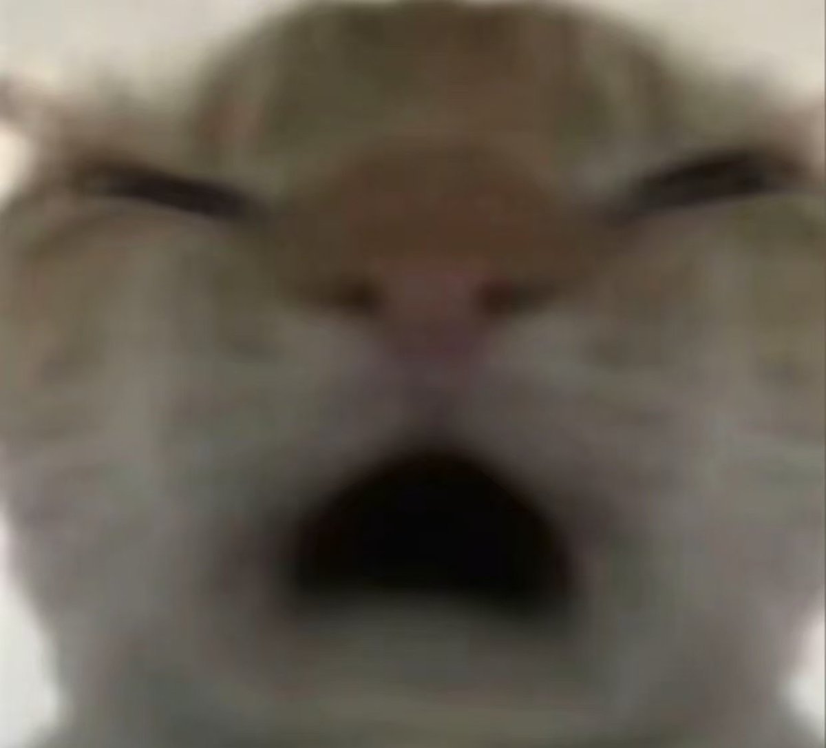 这几天在Bsc上冲meme亏的裤衩子都快穿不起来了，为什么我还没有收到我的BNB，亏的太多不配有吗

<a href="/heyibinance/">Yi He</a> 
<a href="/cz_binance/">CZ 🔶 BNB</a>