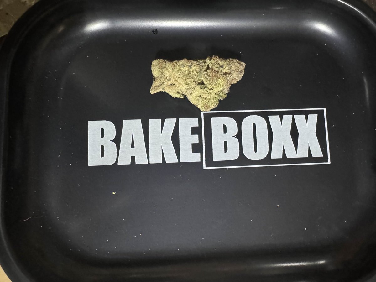Apple Tarts (BakeBoxx) Strain Review

Apple Tarts from BakeBoxx brings dessert vibes with a punch of personality. Crack open the jar and you’re hit with the smell of warm apple pie: sweet, buttery, and a little tangy, layered with a faint earthy spice. The flavor follows through