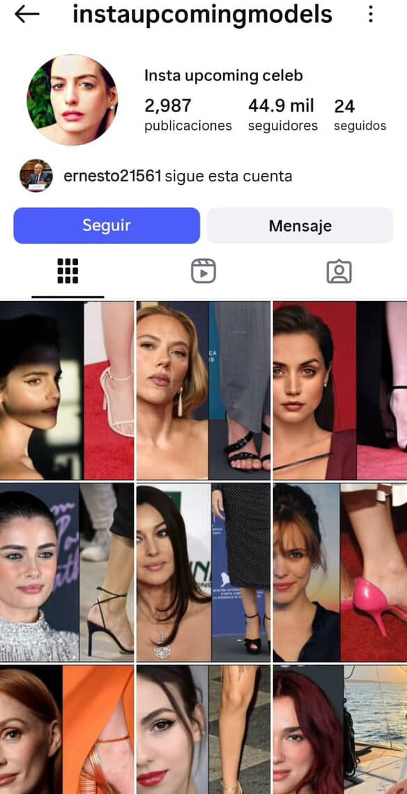 DiarioDeCurwen's tweet photo. Cuentas seguidas por Ernesto Álvarez Miranda en instagram. https://t.co/TQJS3NzHQe