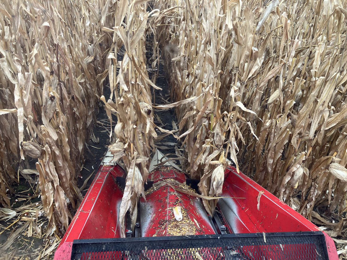 Ryan Miller tweet media