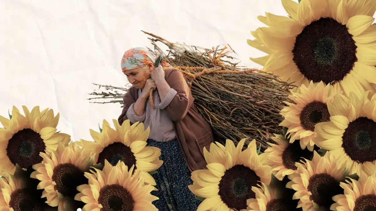 Asprona Bierzo lanza el concurso literario ‘Voz de mujer rural’
bierzotv.com/asprona-bierzo…
<a href="/AspronaB/">Asprona Bierzo</a>
