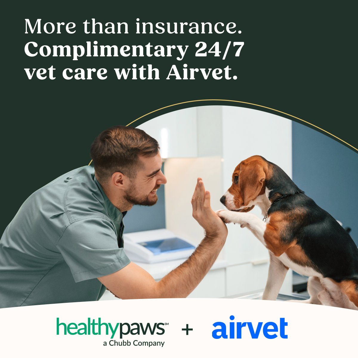 Healthy Paws, a Chubb Company tweet media