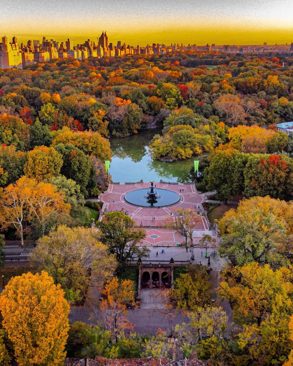 Loews_Hotels's tweet photo. Experience the charm of fall in NYC at Loews Regency New York—where crisp leaves, city adventures, and cozy suites await. 🍂✨ #LoewsHotels #NYCFall #WelcomingYouLikeFamily https://t.co/0hSZB9GOdT

📷 : @jonathankamensky @mingomatic https://t.co/MlrNADluav