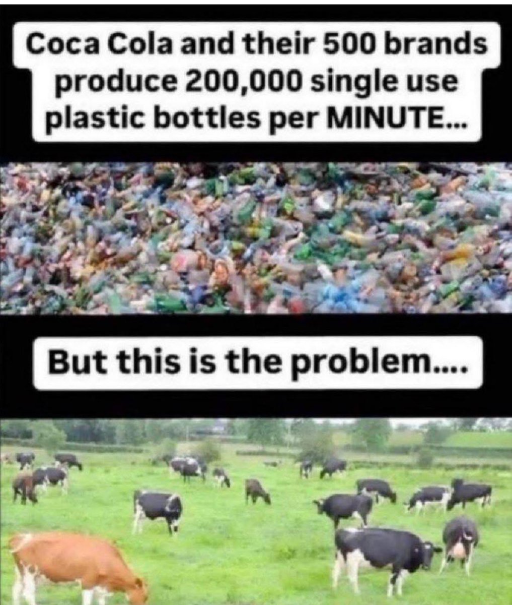 Have we woken up yet to the Climate Scam? 😏👇🏽