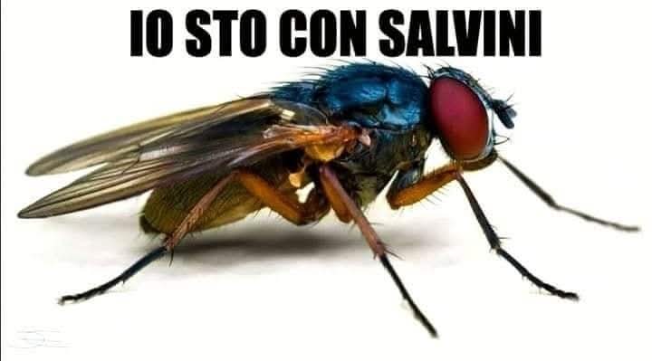 <a href="/matteosalvinimi/">Matteo Salvini</a>