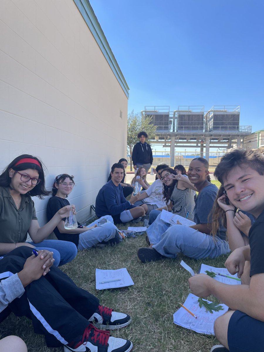 Meg Williams tweet media