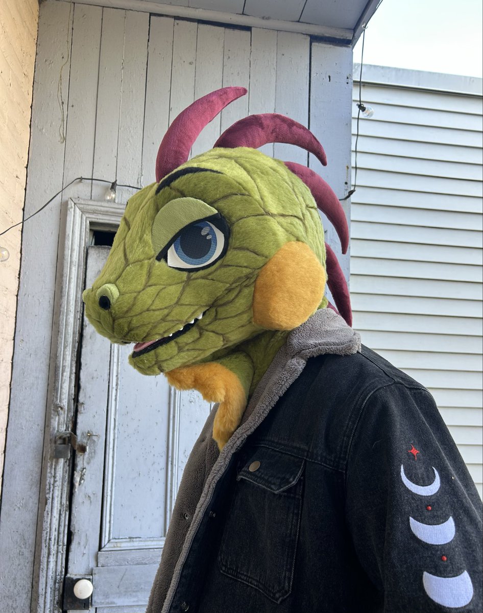 Ready your basking areas ☀️

Rue joins the family as my first official reptile! 

Lizard spam in replies👇