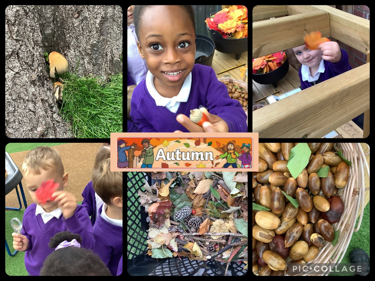 St Gerard's Catholic Primary & Nursery School tweet media