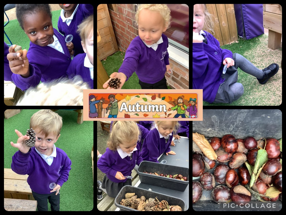 St Gerard's Catholic Primary & Nursery School tweet media