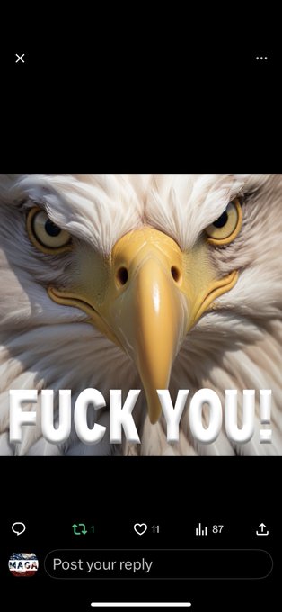 PhoenixRisingAB's tweet image. @abcnews  @ThisWeekABC   #EnemyOfThePeople 

#WeThePeople have a #SpecialMessage for YOU: