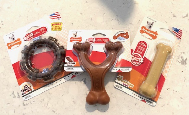 lisaburkin's tweet photo. Finally made it back out into the world today &amp; came home to a lovely gift from Nick! Lena loves to have a #Nylabone to work on in her car crate, thanks so much!
https://t.co/SlTLL4XOKR https://t.co/lP5R99AIW3