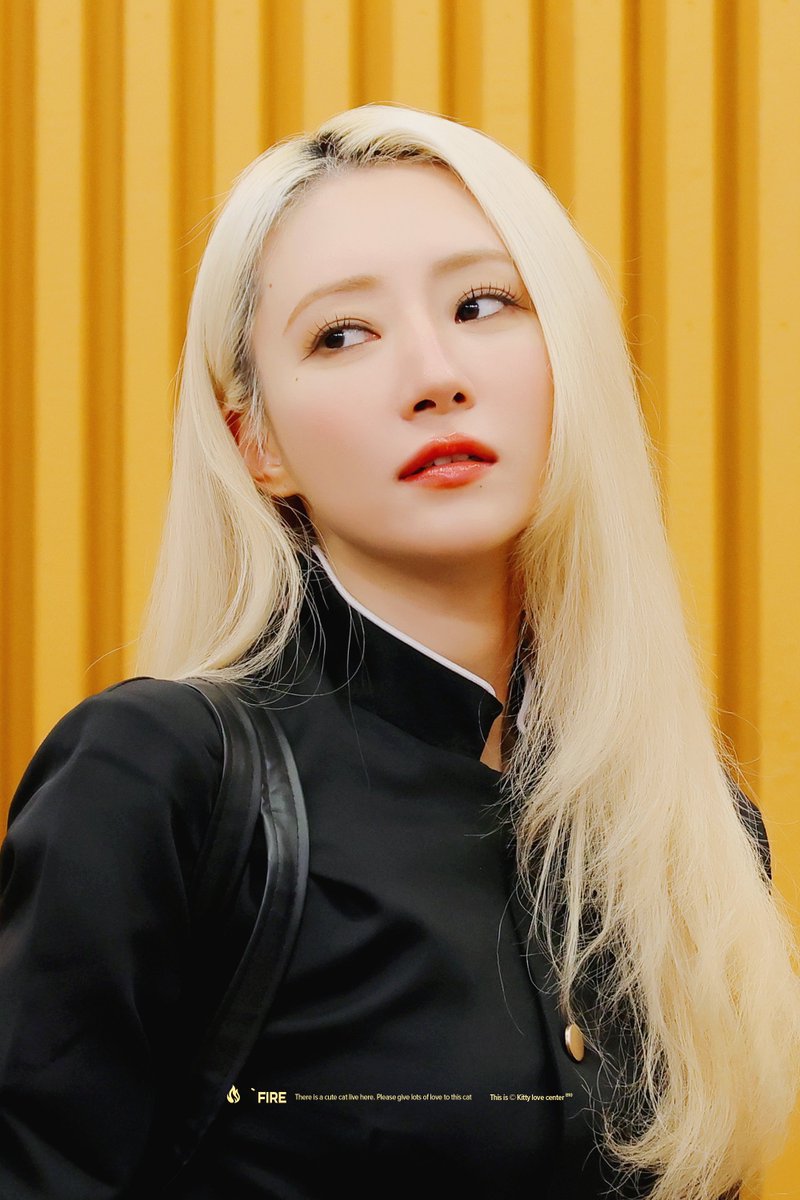 810_fire's tweet photo. 250621 #SUA #수아 https://t.co/vrZIHz17lX