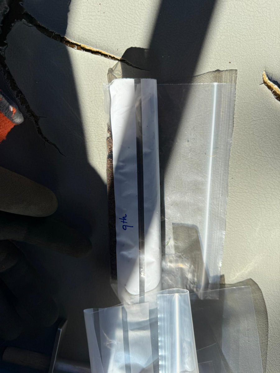 Robyn Craddock tweet media