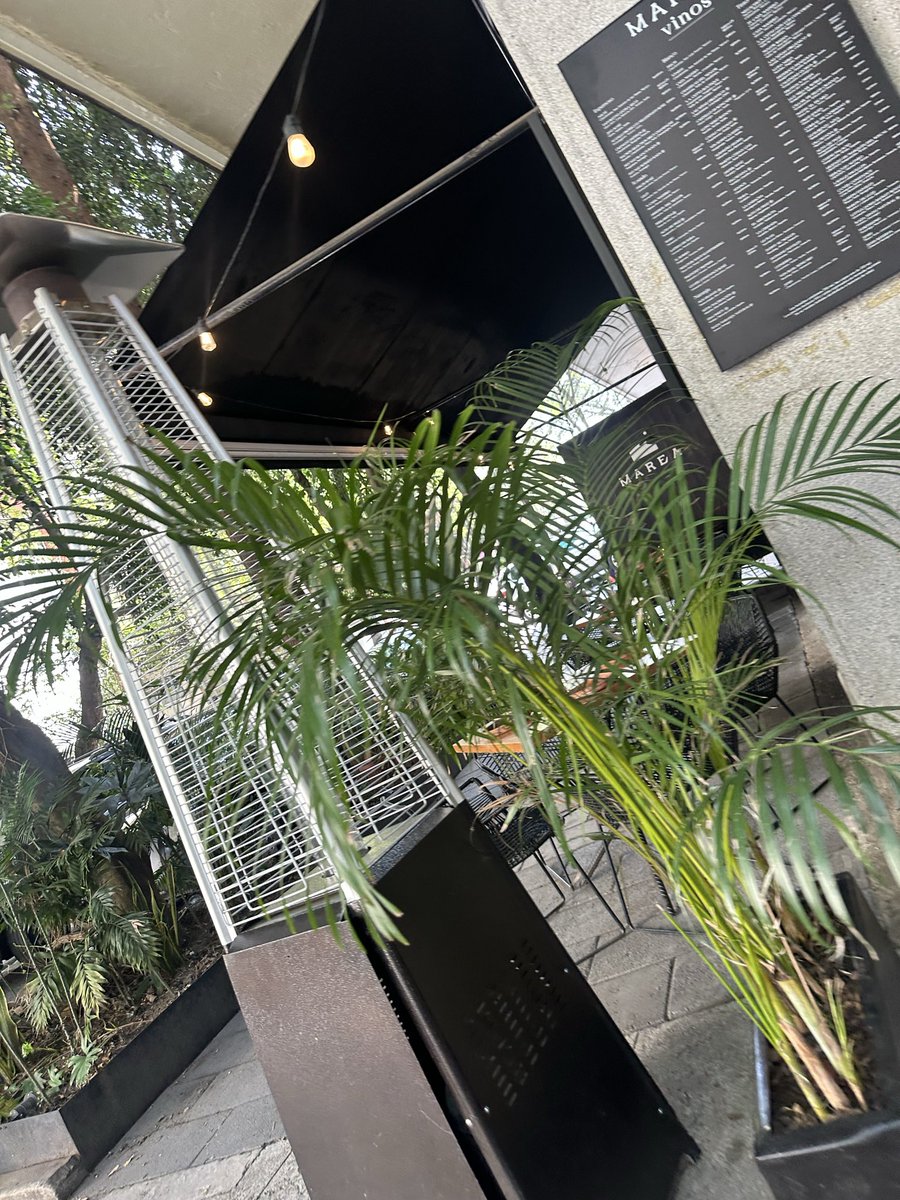 CesCasey tweet media