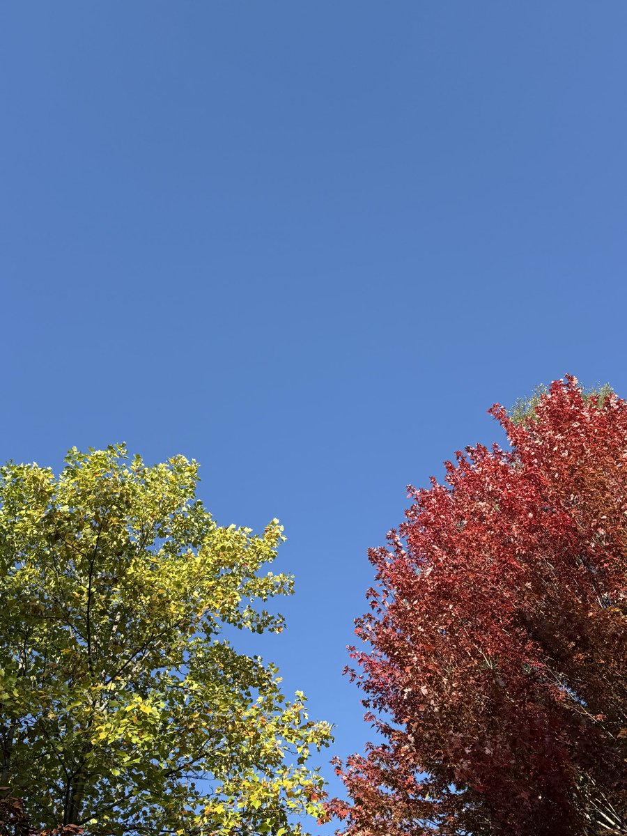 Change is here. Nature knows and shows.