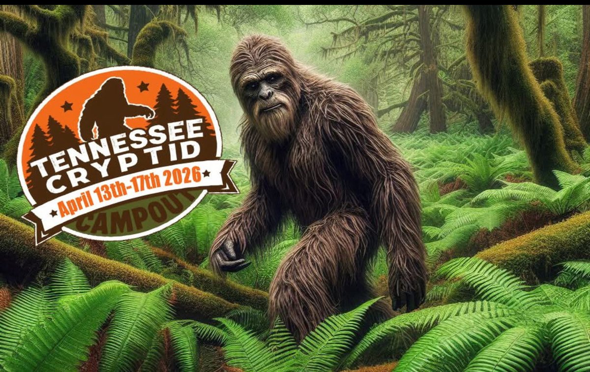AuthorRonny's tweet photo. Something is brewing… #ExpeditionBigfoot #Bigfoot #Tennessee #Campout #2026 https://t.co/30nxKZWSdY