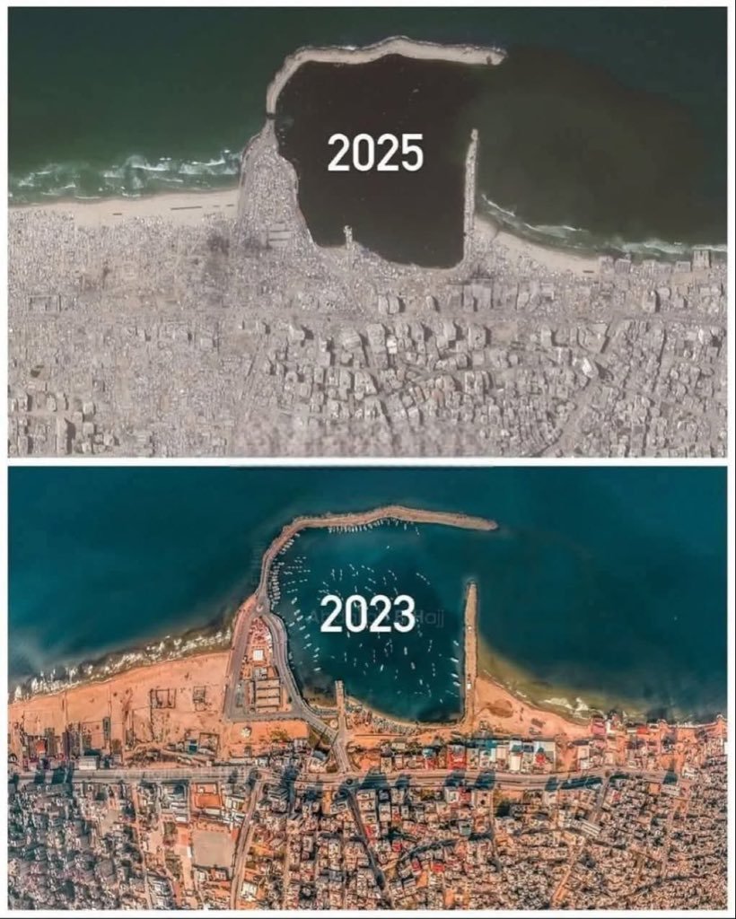 jacksonhinklle's tweet image. THIS WAS NOT A WAR

THIS WAS A GENOCIDE!