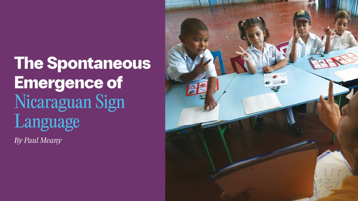 CatoInstitute's tweet photo. Order doesn’t always need a designer.
When deaf children in Nicaragua invented their own language, they proved a timeless truth of liberty: Lasting systems (like markets and languages) emerge from the bottom up.

Paul Meany’s essay reveals how the emergence of Nicaraguan Sign Language mirrors the same principles that sustain free societies. Read now: https://t.co/zzUAIE6ozr