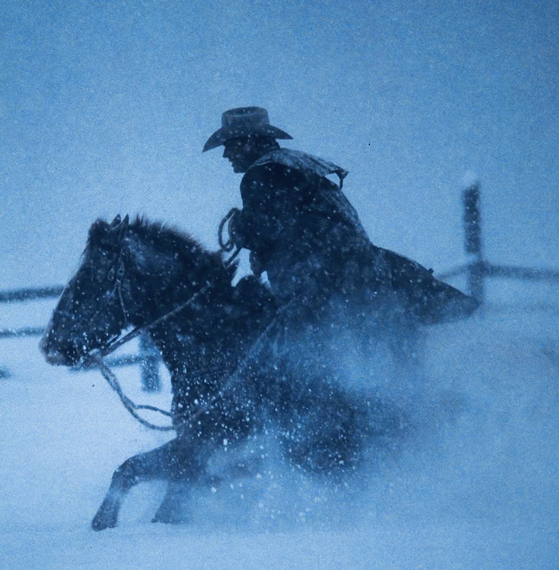 basilbees's tweet image. #jayvik
lavanda para el lobo update
¡nuevo capítulo al aire, gente 🪻!
❄️ in spanish
❄️ in emission
❄️ omegaverse / modern au
❄️ alpha jayce 🐺 / omega viktor 🌙
📖 capítulo nuevo: archiveofourown.org/works/68426376

VOLVIERON NUESTROS PÁJAROS VAQUEROS FAVORITOS 🥹💐