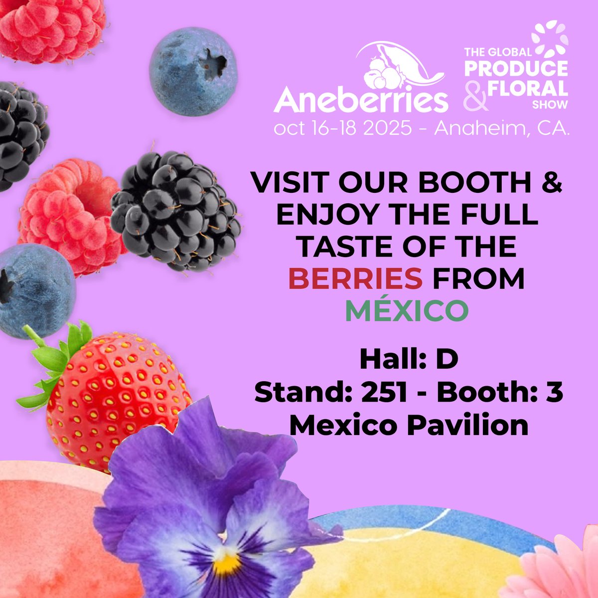 Aneberries (@aneberriesmx) on Twitter photo 