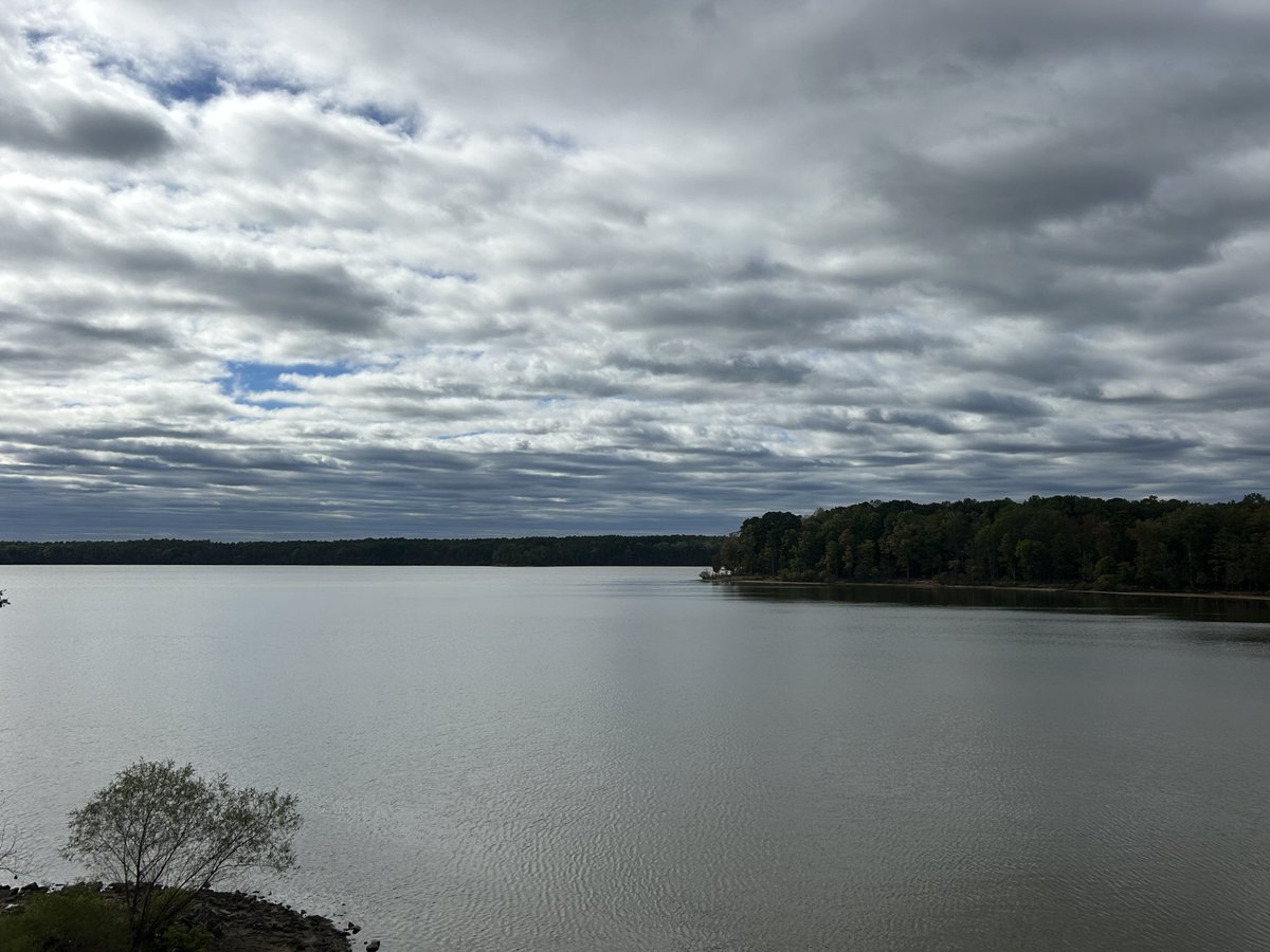 aihtheory's tweet image. Go out door