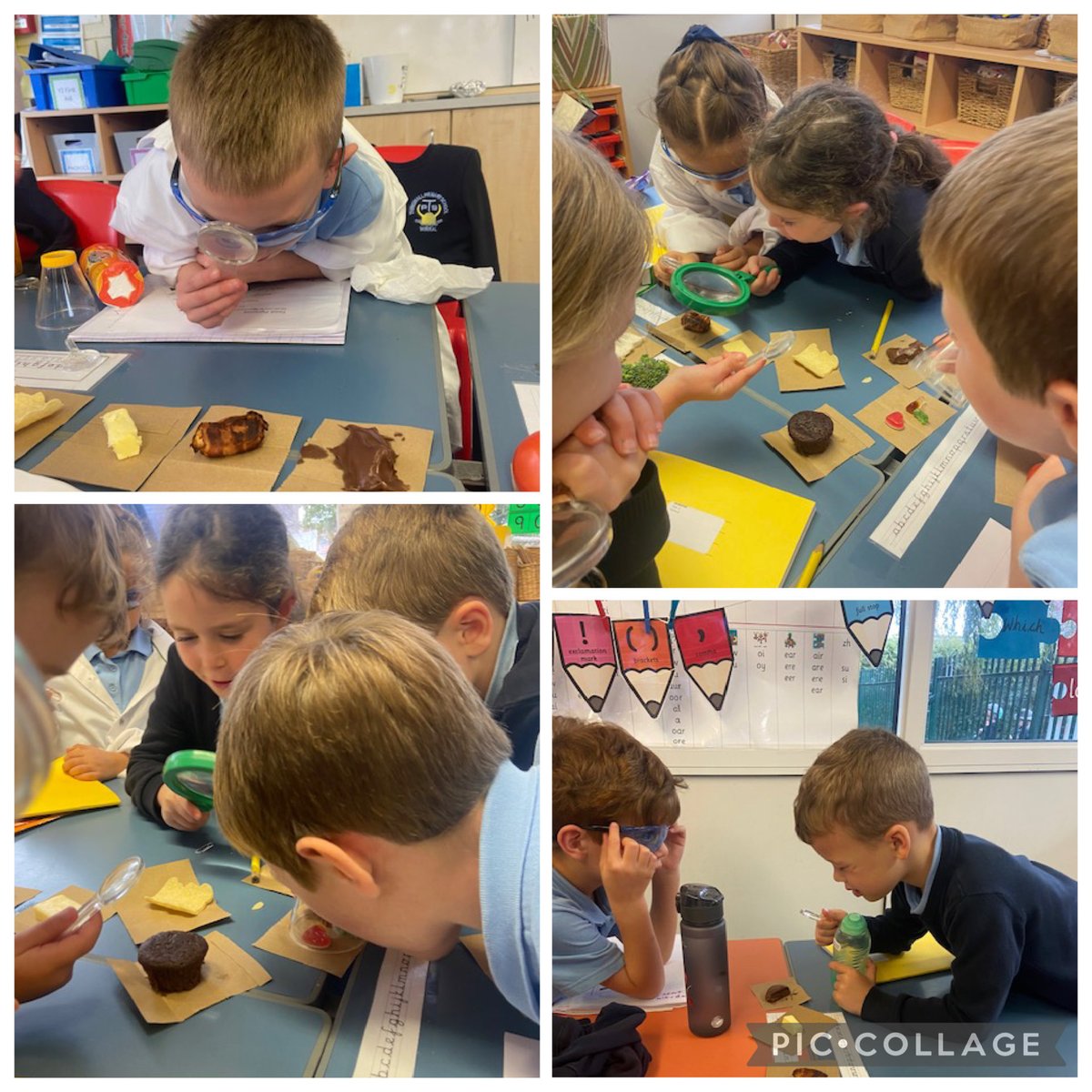 @thingwallprimary tweet media