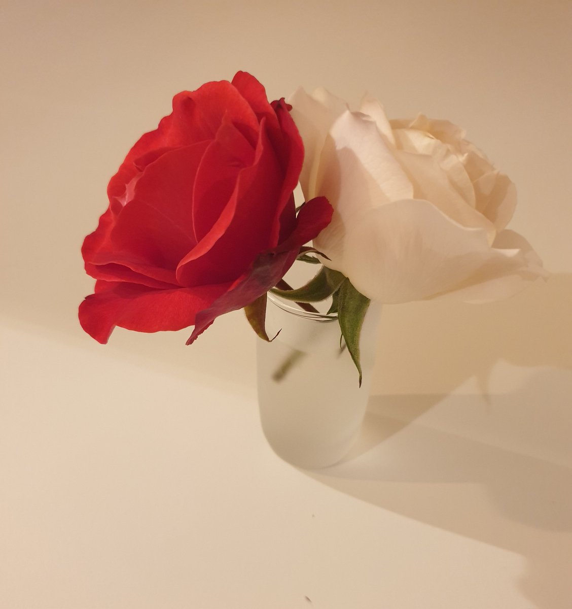 "Domani non è che potresti darmi uno strappo a scuola? Non proprio davanti... Te lo dico io dove"