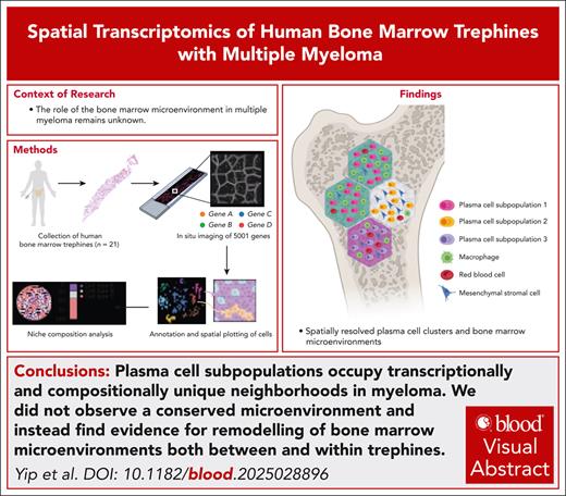 Blood Journal (@bloodjournal) on Twitter photo Malignant plasma cells form spatially segregated microenvironments with distinct transcriptional profiles and cell composition. Read the full piece in Blood: ow.ly/3Pf350Xbe2J Malignant plasma cells form spatially segregated microenvironments with distinct transcriptional profiles and cell composition. Read the full piece in Blood: ow.ly/3Pf350Xbe2J