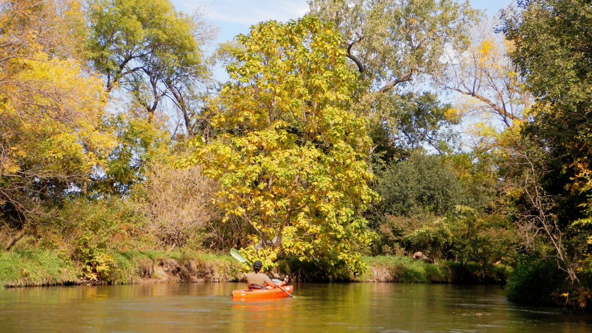 krnywhitewater's tweet photo. KWA members enjoyed a perfect day on the Kearney Water Trail! You can be a part of our group and make a difference in the community. We are now taking memberships for 2026, join us by visiting the following link - https://t.co/zWidh6SwNu https://t.co/EIs0R81Xa1
