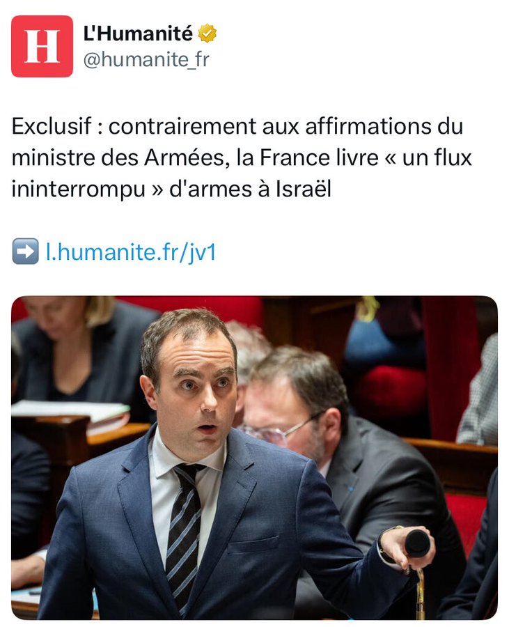 Marie Weber 🐢 LFI 🌎 ZAD 💦 ¥ 🇵🇸 NFP tweet media