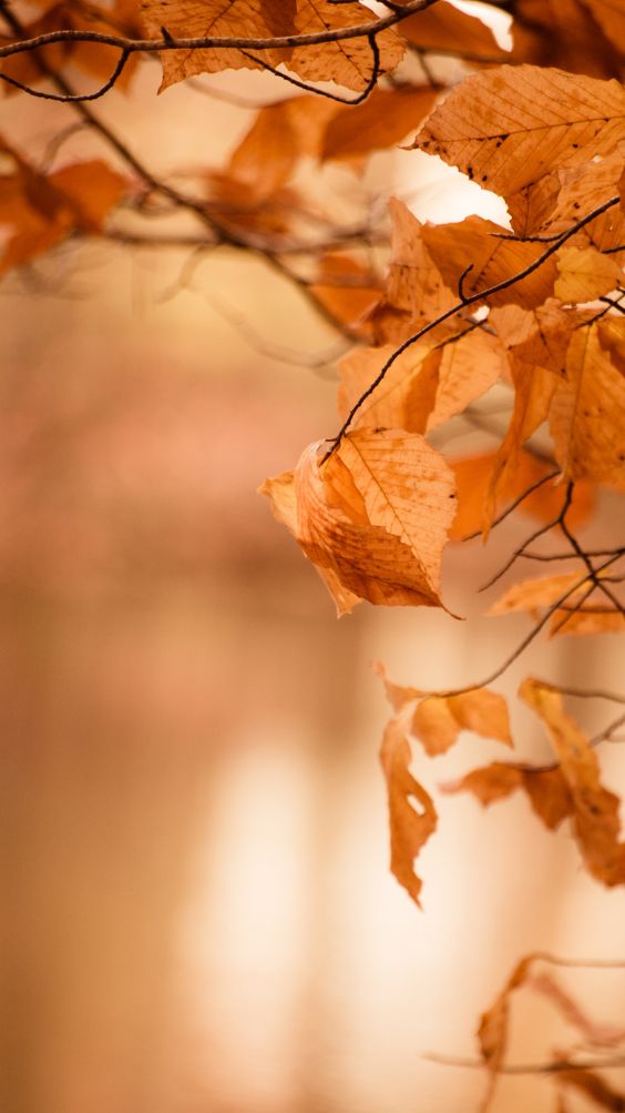 쏘쿨 (@socoolmakeup) on Twitter photo 