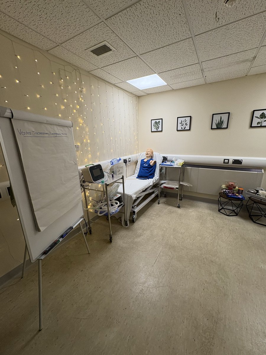 Aeysha Harley tweet media