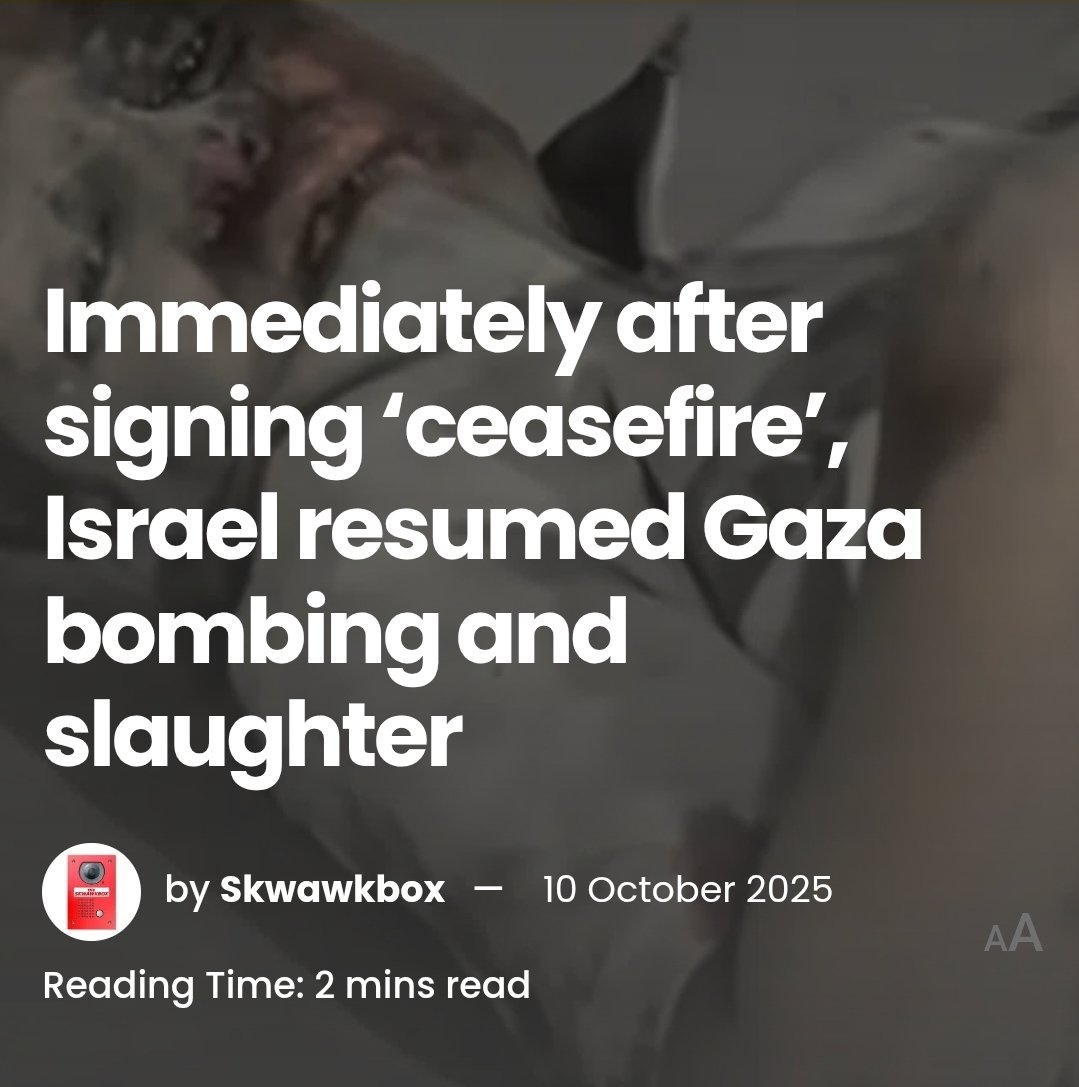 KingKrondo's tweet image. #Masters a chump no #ceasefire just contractors bidding #war after #genocide #florida #love #mao