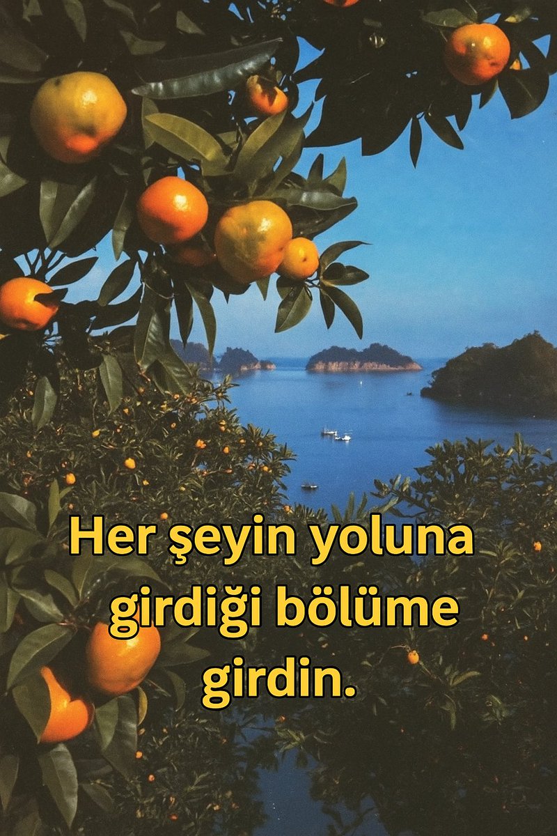 sessiz_gucc's tweet photo. https://t.co/RzOmcxq8Hm