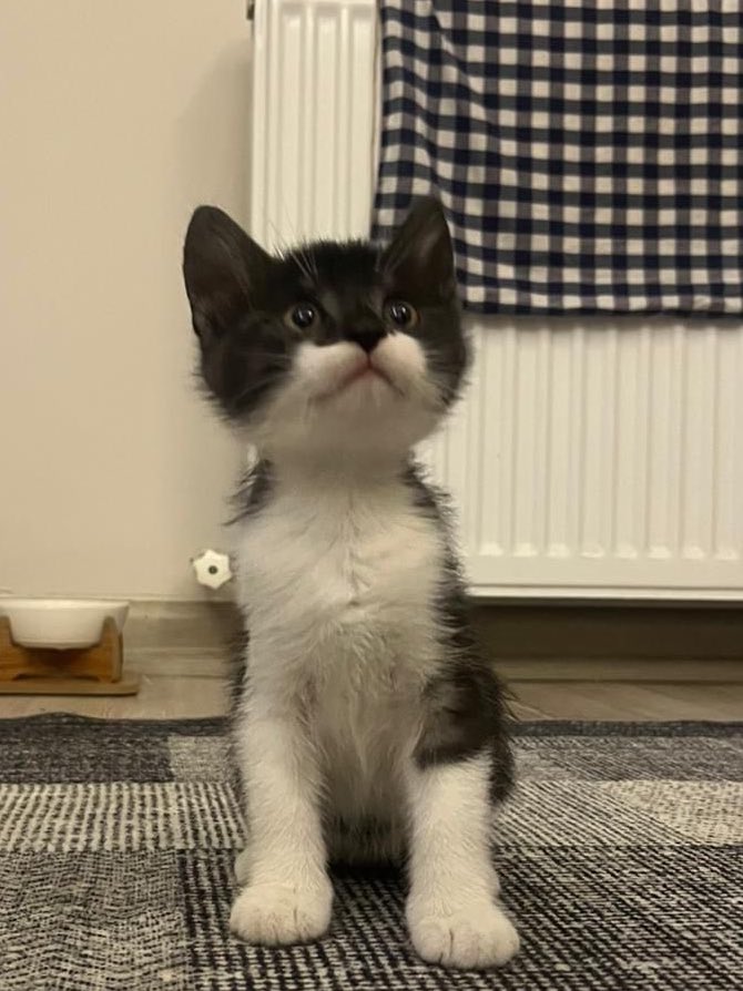 SENİN O SURATINI YERİM DUYDUN MU BENİ