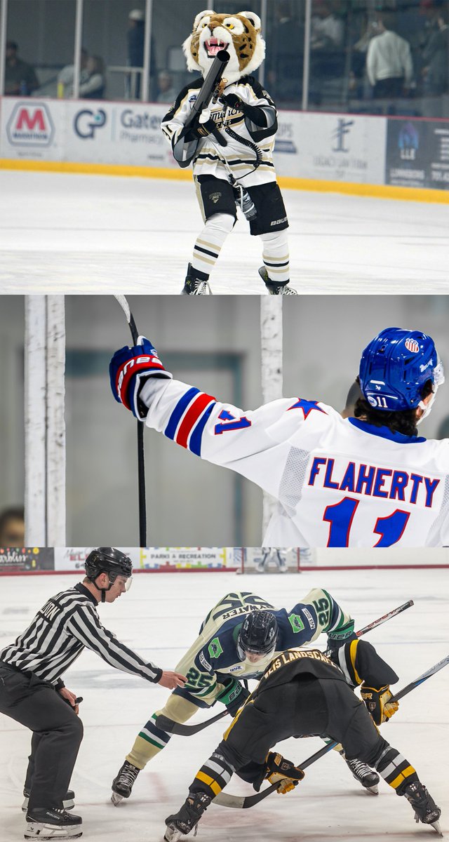 NAHL tweet media