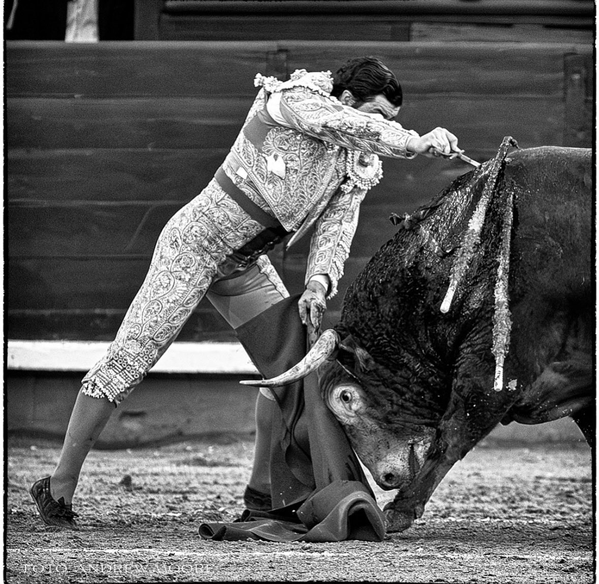 Lo mires por donde lo mires la estocada es majestuosa, además que la ejecutó a cámara lenta. Pasarán los años y la seguiremos teniendo en la memoria.
