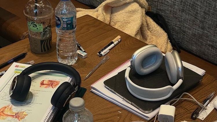 madeleine✶ tweet media