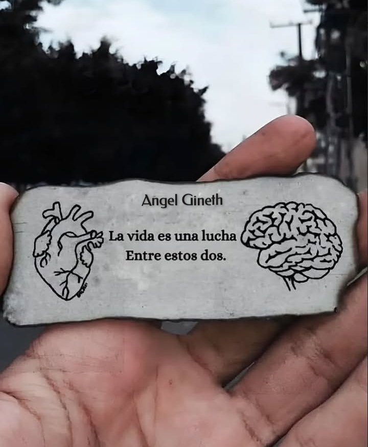👇