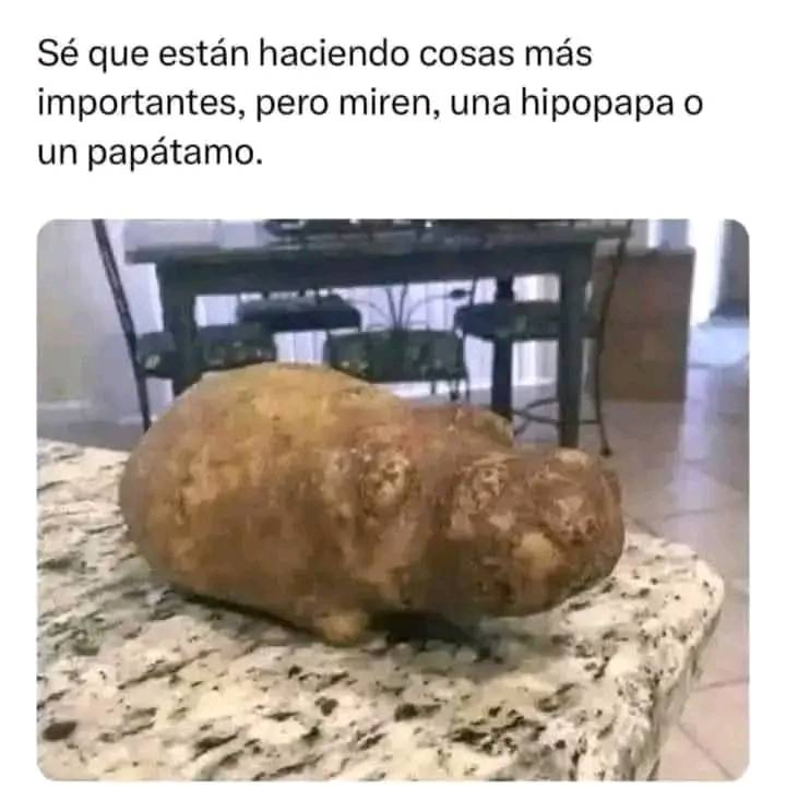 MexicoMagico's tweet photo. https://t.co/sKGZew5tbj