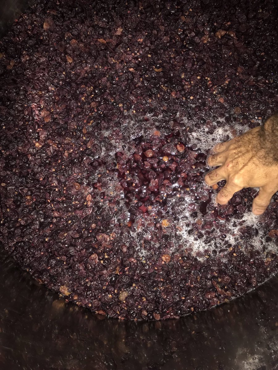 Konbutxa berezi bat botilaratu dugu…
Laster info +
- KALAMITEA - coming soon.
.
.
#bedaio #aralar #kombucha #rioja #kalamitea