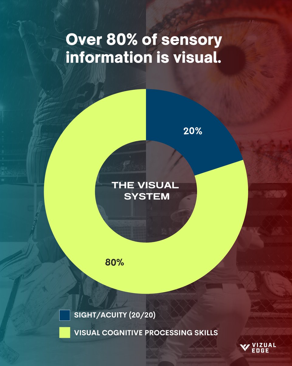 Most athletes think “20/20 vision” means they’re set— but clarity is just the start. We train the other 80% — the visual-cognitive skills that drive performance. Depth, tracking, recognition, reaction. The skills that separate good from elite. 

#VisionTraining #CognitiveTraining