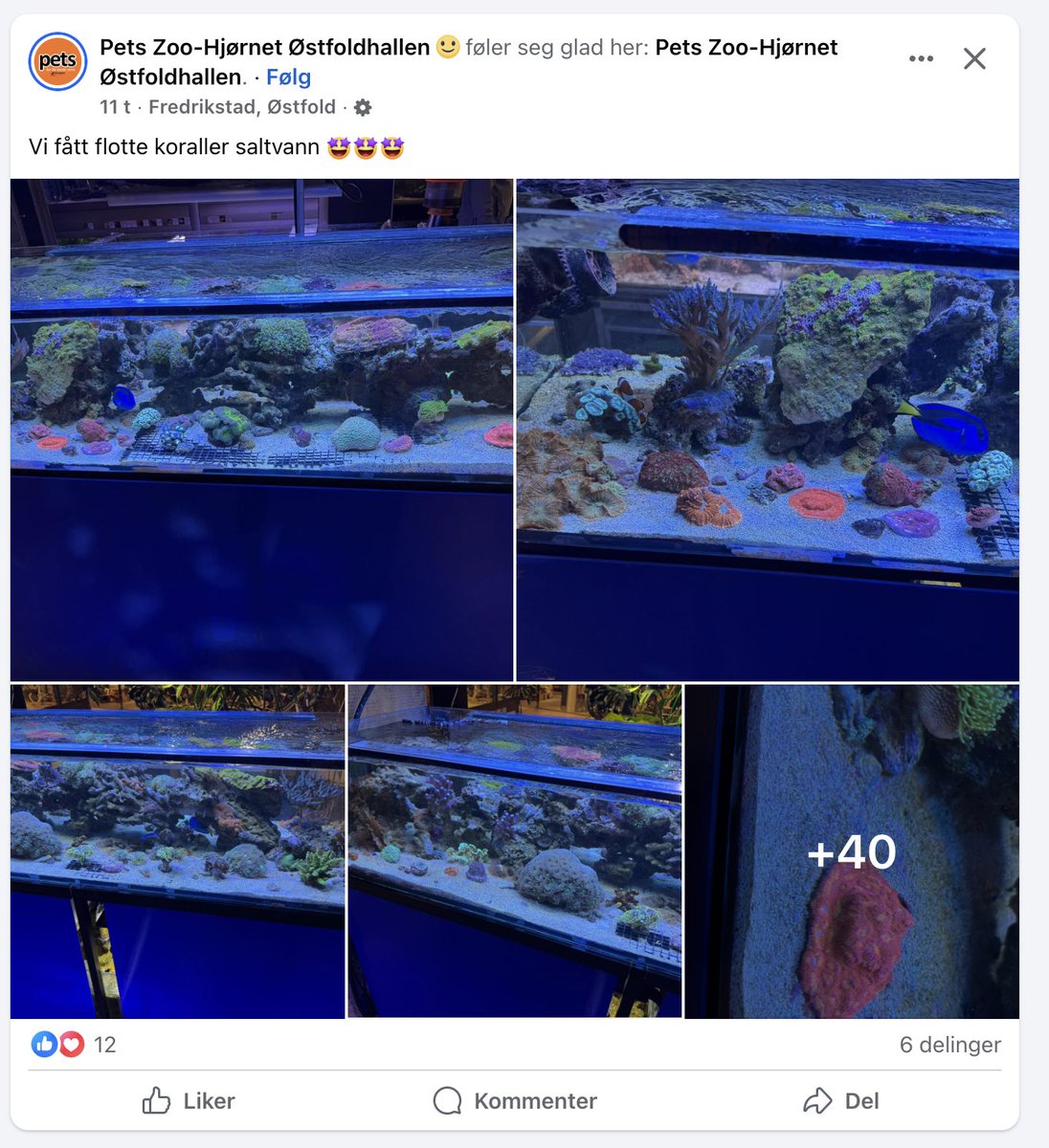 vi også fått slag hjernen