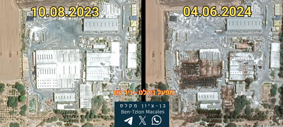 Ben Tzion Macales tweet media