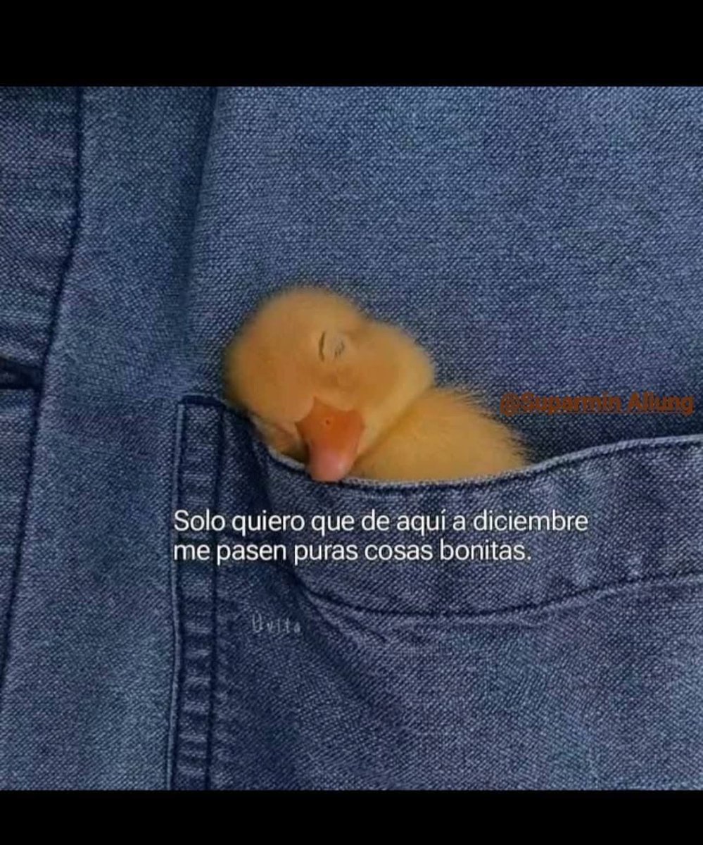 BANDIDOS (@bandidosfrasess) on Twitter photo 