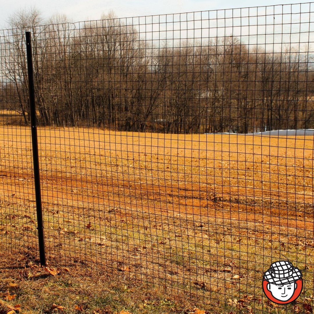 wireclothman's tweet image. 🦌 Protect Your Property with Deer Fencing 🦌

Deer fencing offers an effective, durable solution to safeguard gardens, crops, and landscaping.

Learn more: hubs.la/Q03L2wZ50

#DeerFencing #PropertyProtection #AskWireClothMan #WireSolutions #GardenProtection