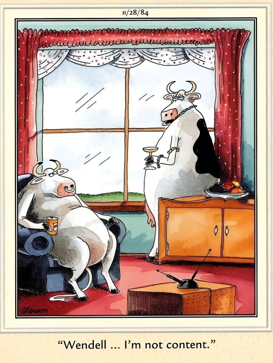 Johnny Moline 🐊 🌴🦩🦎 (@johnmccumber) on Twitter photo 