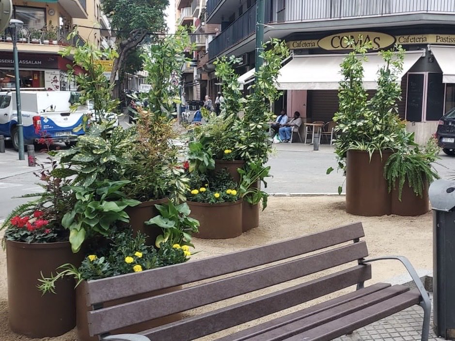 🌿 Nous parterres a la Plaça París 
Continuem millorant i embellint l’espai públic amb jardineria sostenible, pensada per aportar color, frescor i harmonia al centre de Lloret 🌸

Treballant dia a dia per un Lloret més verd, agradable i sostenible 🌱