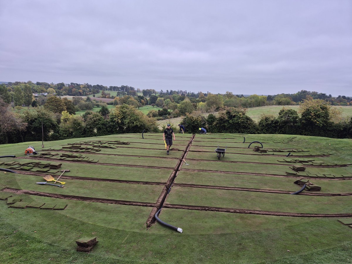 Billy Hayes tweet media